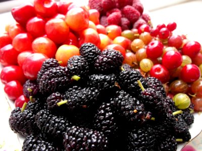 Natural Foods, Fruit, Local Food, Blackberry