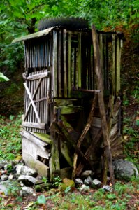 Outhouse, Shack, Outdoor Structure, Tree photo