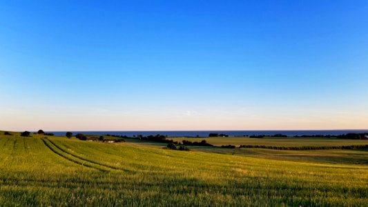 Grassland, Sky, Prairie, Field