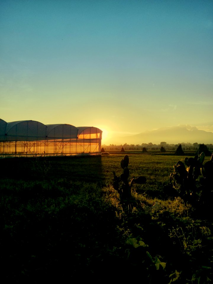 Sky, Field, Dawn, Morning