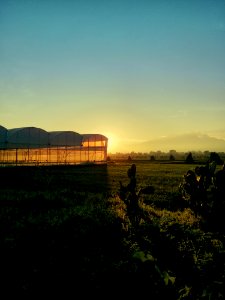Sky, Field, Dawn, Morning