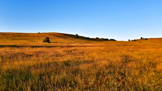 Grassland, Prairie, Ecosystem, Plain