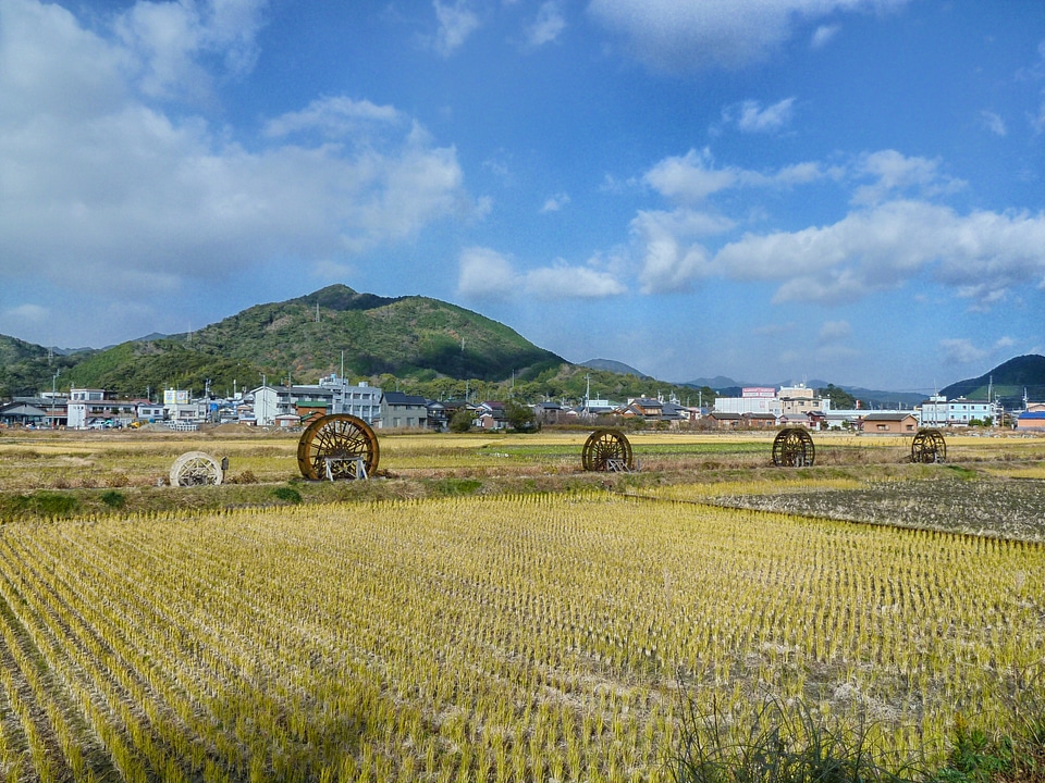 Scenic farm rural