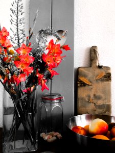 Flower, Vase, Floristry, Still Life photo