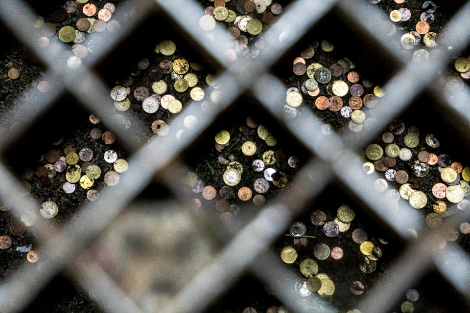 Metal, Close Up, Flora, Macro Photography