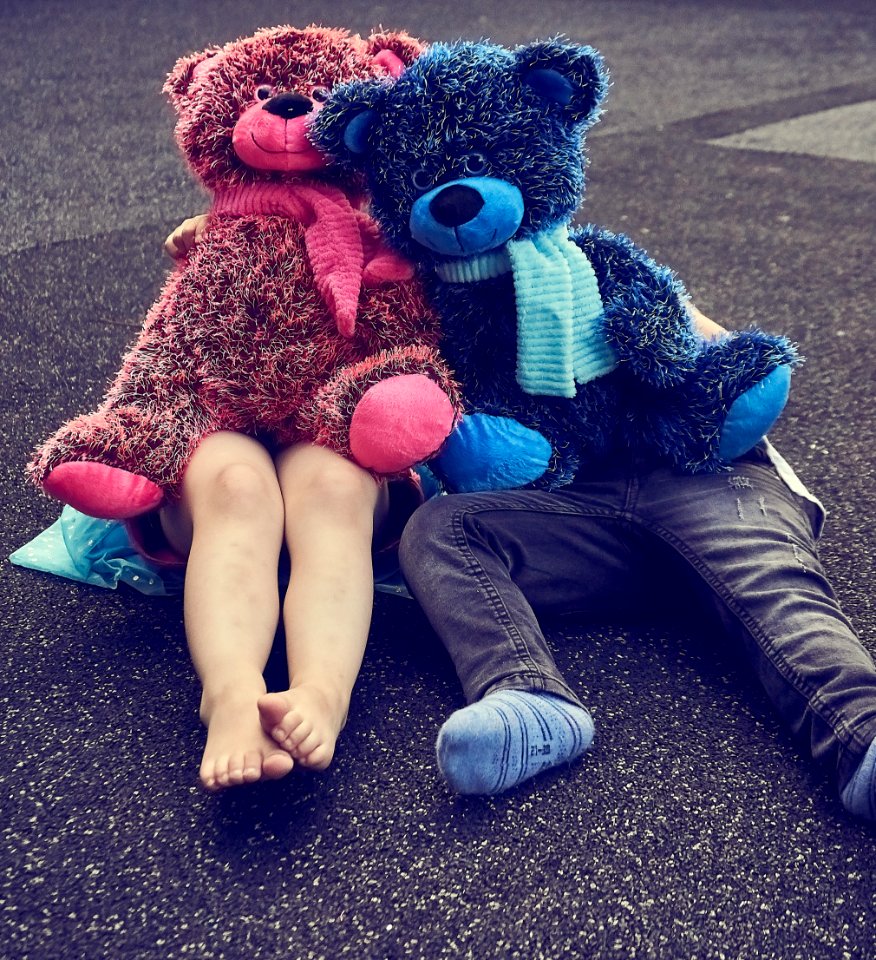 Blue, Purple, Teddy Bear, Stuffed Toy