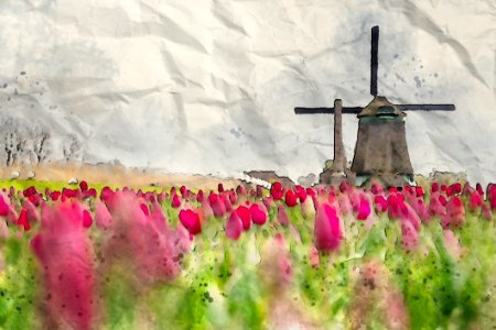 Flower, Painting, Field, Watercolor Paint