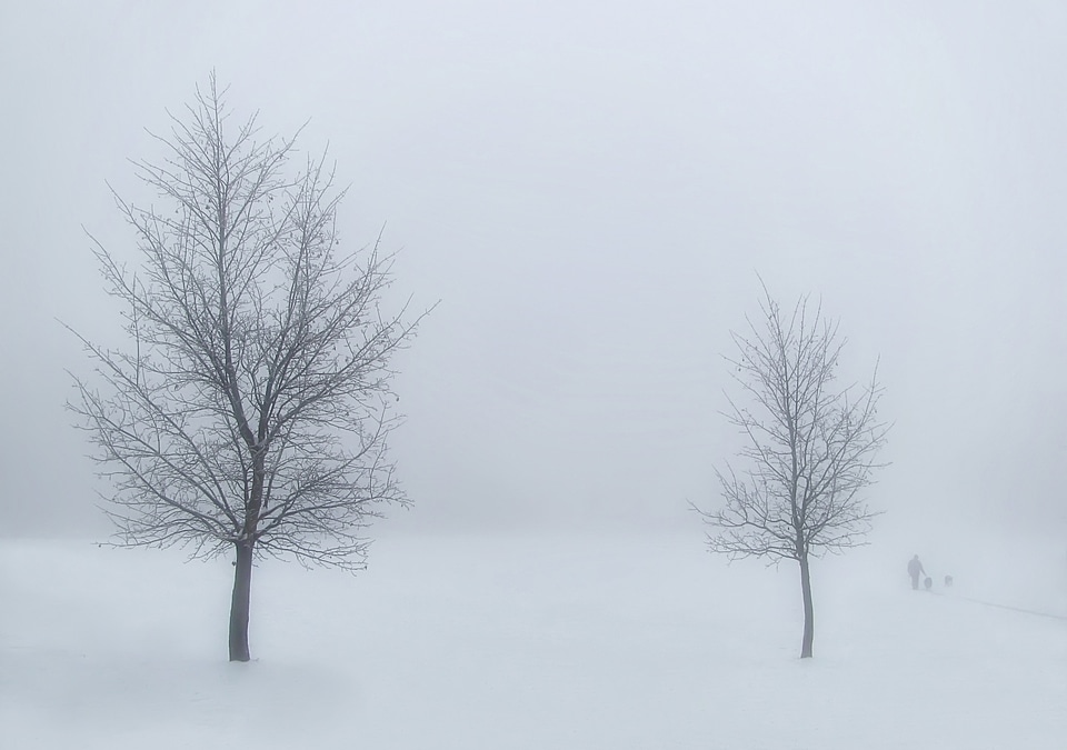 Landscape white fog photo