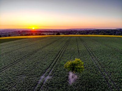 Field, Horizon, Sky, Dawn