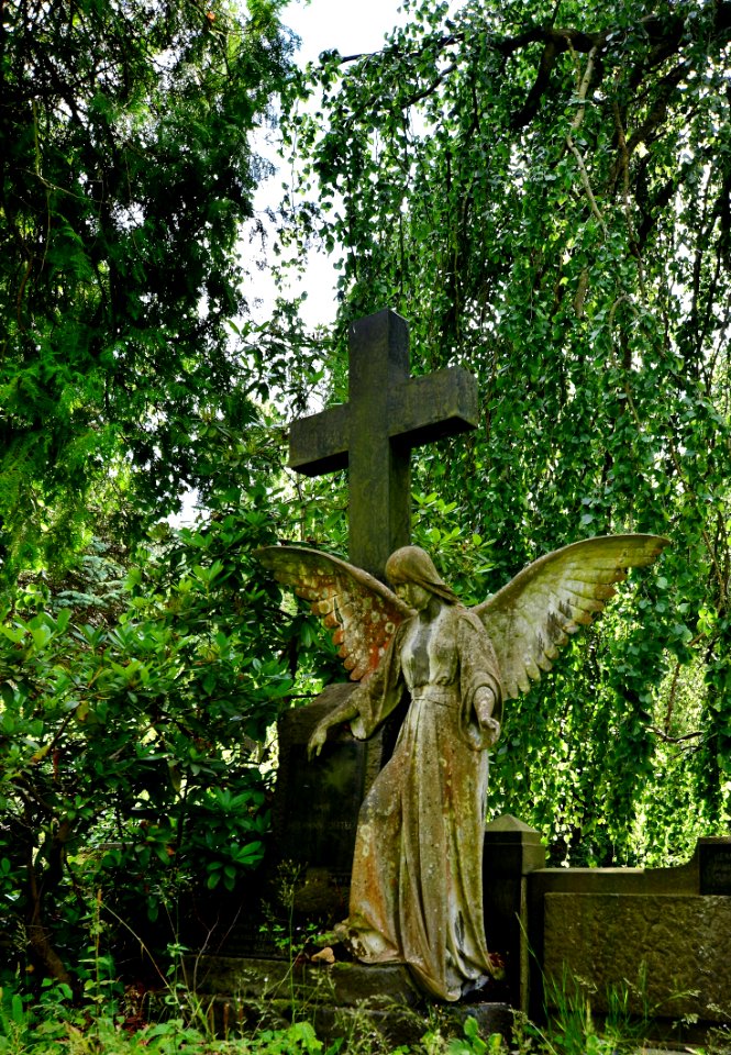 Cemetery, Statue, Grave, Tree