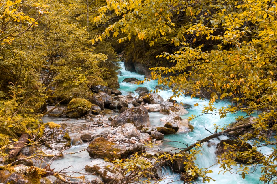 Water, Nature, Stream, Nature Reserve