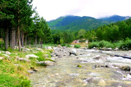Nature Reserve, Stream, Riparian Zone, Wilderness