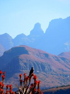 Mountainous Landforms, Mountain, Sky, Ridge photo