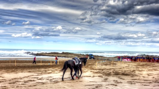 Beach, Cloud, Sea, Body Of Water