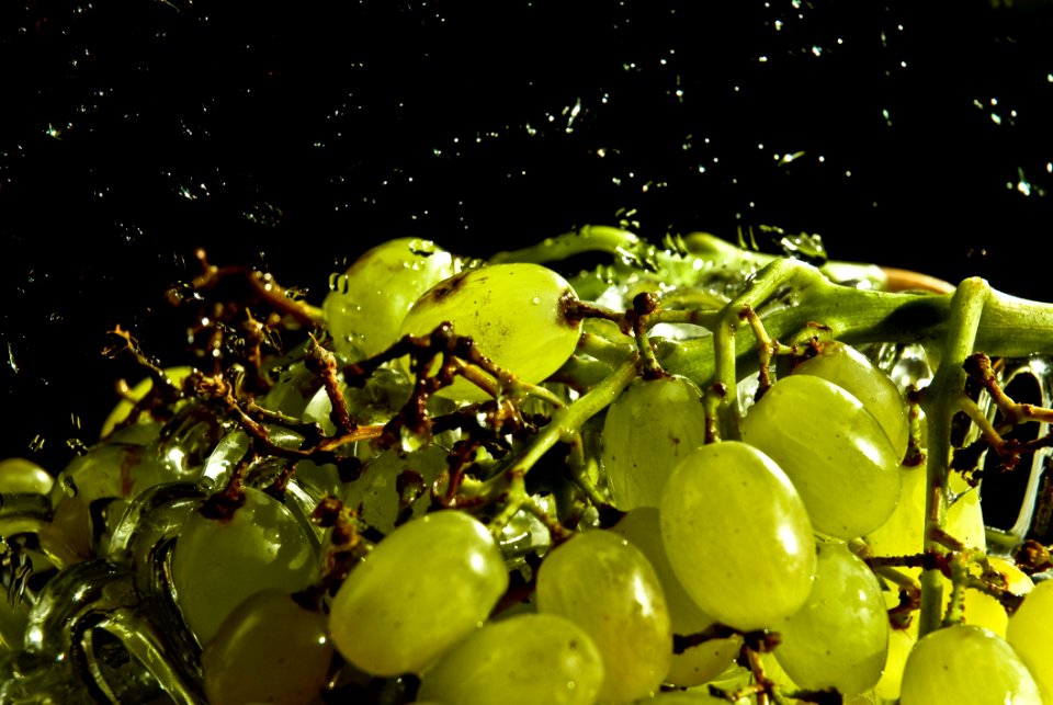 Grape, Grapevine Family, Fruit, Plant