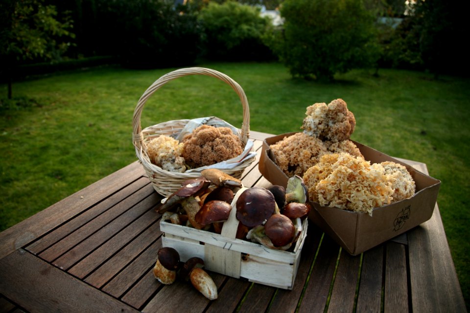 Food, Produce, Grass, Picnic