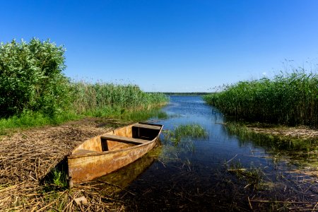 Waterway, Water, Reflection, Wetland photo