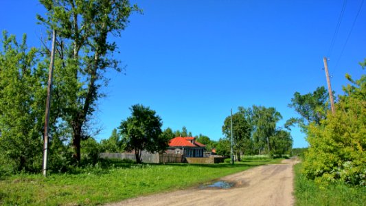 Sky, Field, Ecosystem, Grassland photo