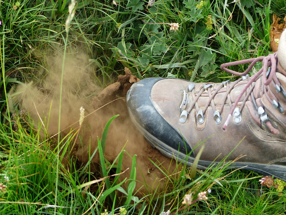 Crush spores mountain shoe