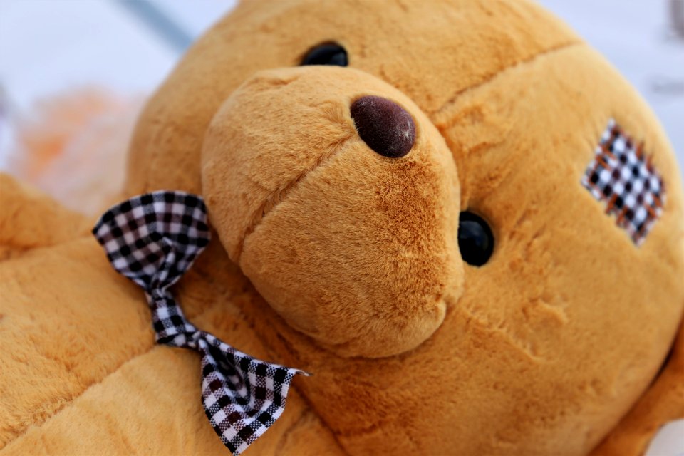 Stuffed Toy, Plush, Snout, Material