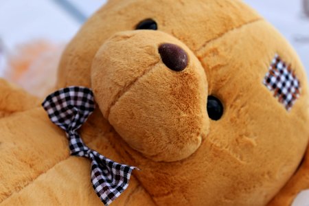 Stuffed Toy, Plush, Snout, Material