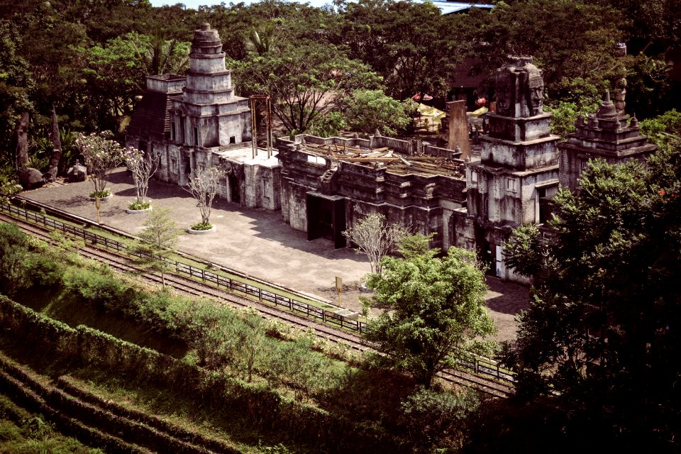 Archaeological Site, Historic Site, Ancient History, Tree
