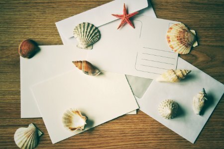 Seashell, Paper, Material