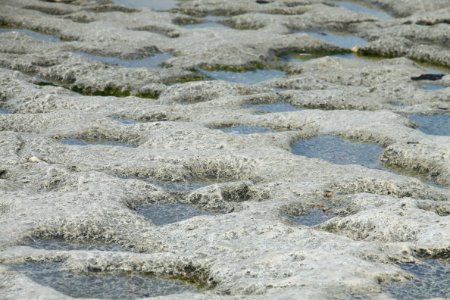 Grass, Water, Mudflat, Geology