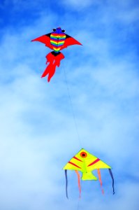 Sky, Kite Sports, Windsports, Kite photo