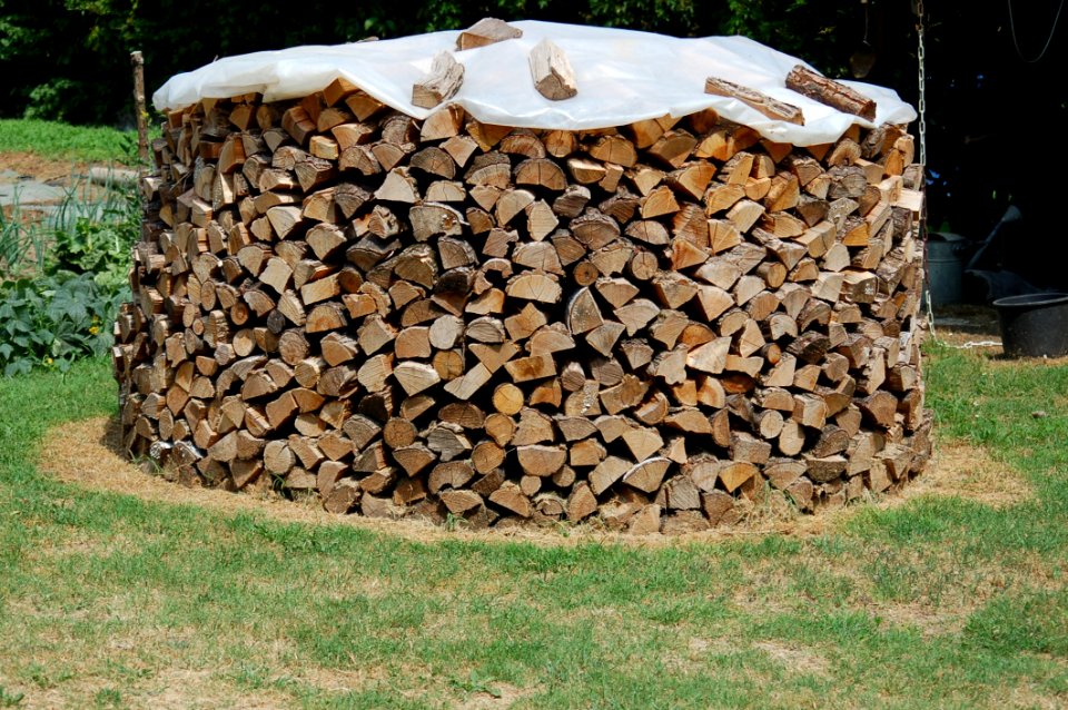 Stone Wall, Wood, Rock, Tree