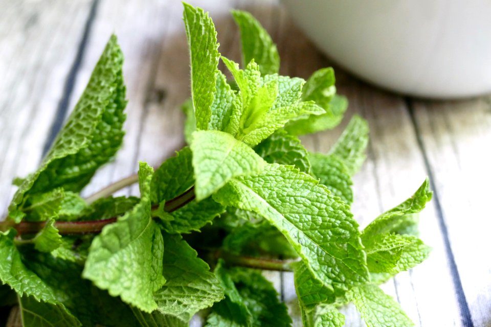 Leaf, Herb, Plant, Peppermint