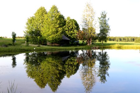 Reflection, Water, Nature, Tree