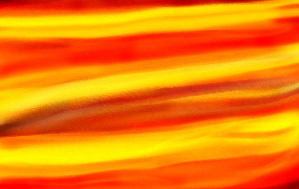 Yellow, Close Up, Orange, Macro Photography