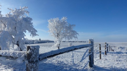 Winter, Frost, Snow, Sky
