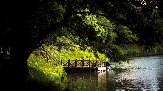 Waterway, Water, Nature, Reflection