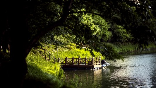 Waterway, Water, Nature, Reflection photo