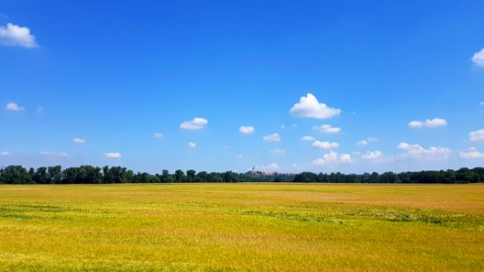 Sky, Grassland, Daytime, Plain