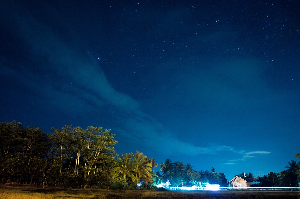 Blue long exposure palms photo