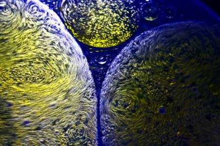 Water, Organism, Close Up, Earth