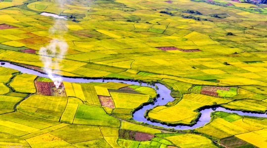 Yellow, Field, Aerial Photography, Birds Eye View