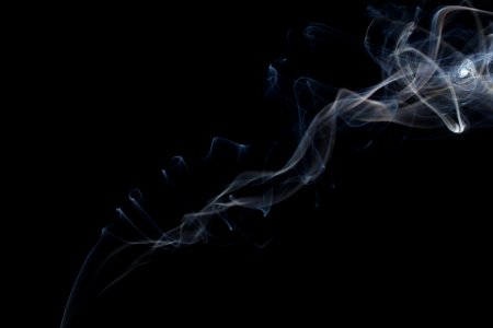 Smoke, Organism, Computer Wallpaper, Darkness photo