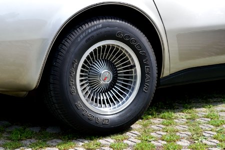 Motor Vehicle, Alloy Wheel, Wheel, Tire