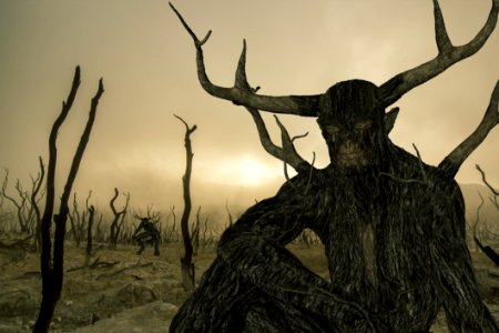 Tree, Woody Plant, Antler, Plant
