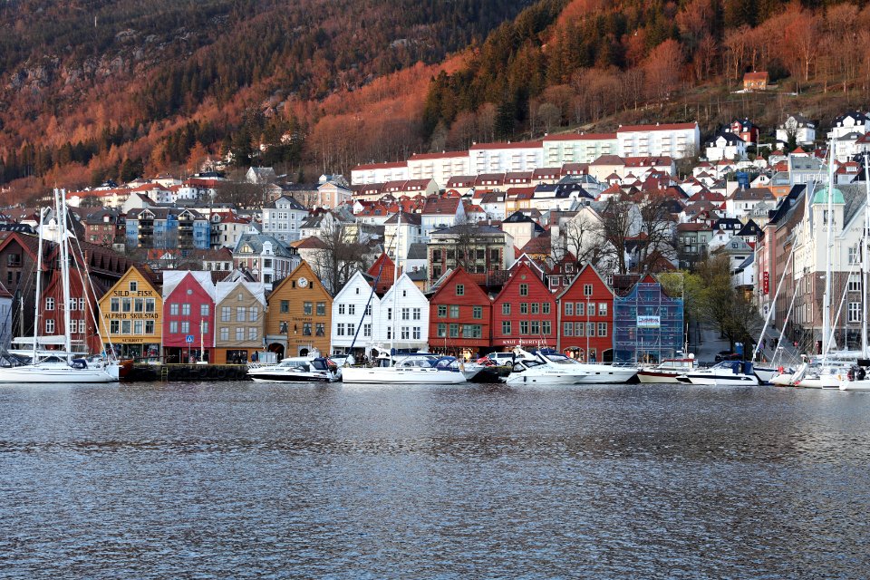 Water, Winter, Harbor, Snow