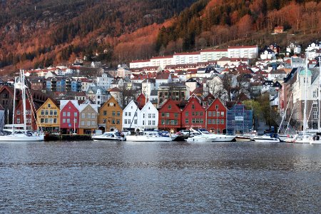 Water, Winter, Harbor, Snow