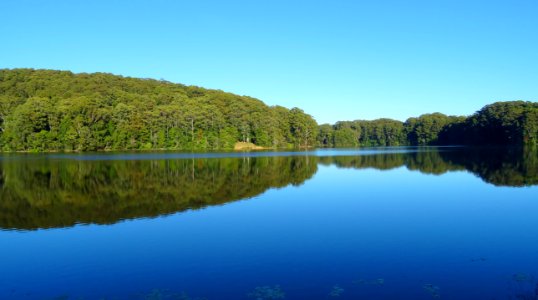 Reflection, Water, Nature, Lake photo