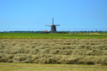 Windmill, Grassland, Field, Grass Family