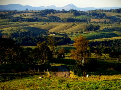 Grassland, Nature, Pasture, Hill