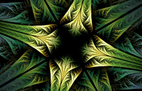 Leaf, Green, Plant, Vegetation