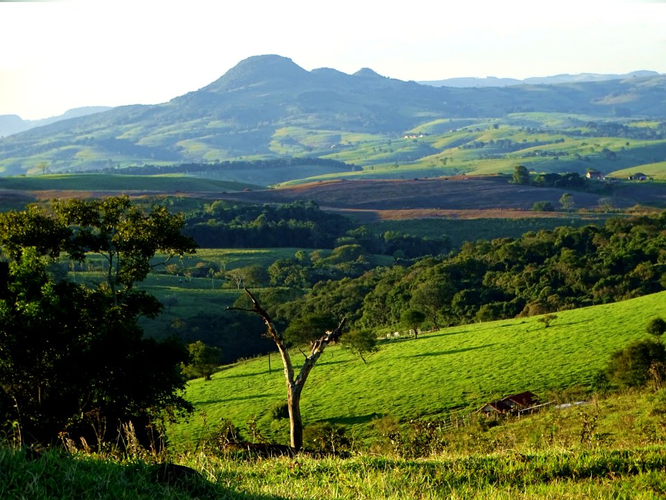 Highland, Grassland, Hill, Vegetation